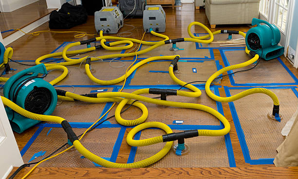 Professional Flood Damage Restoration technician working in Tilden, NE